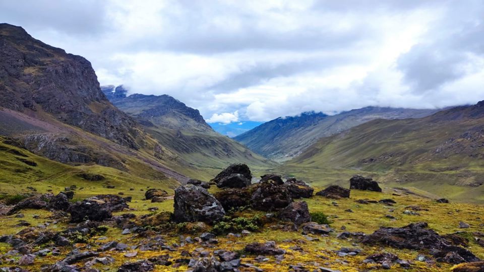 Birdwatching at Abra Malaga from Ollantaytambo foto 5