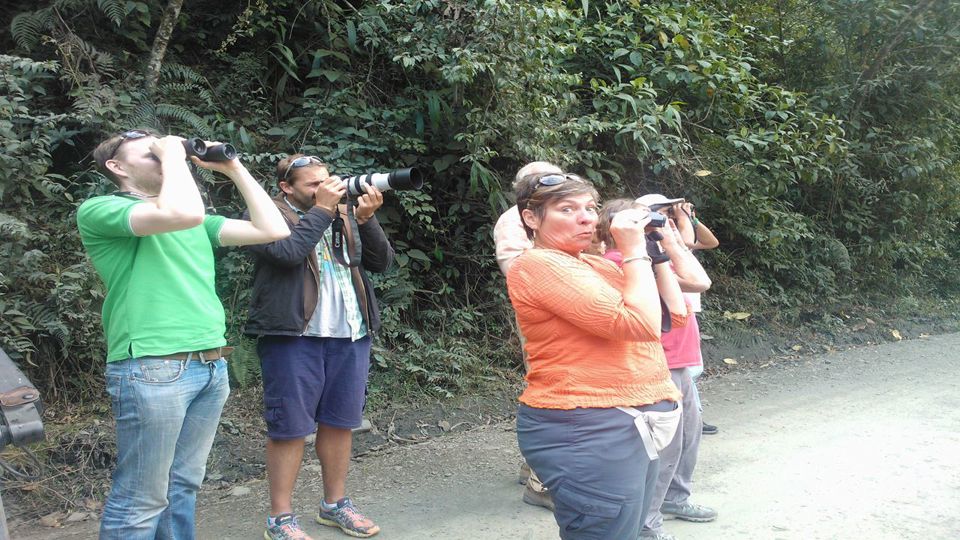 Birdwatching at Abra Malaga from Ollantaytambo foto 9