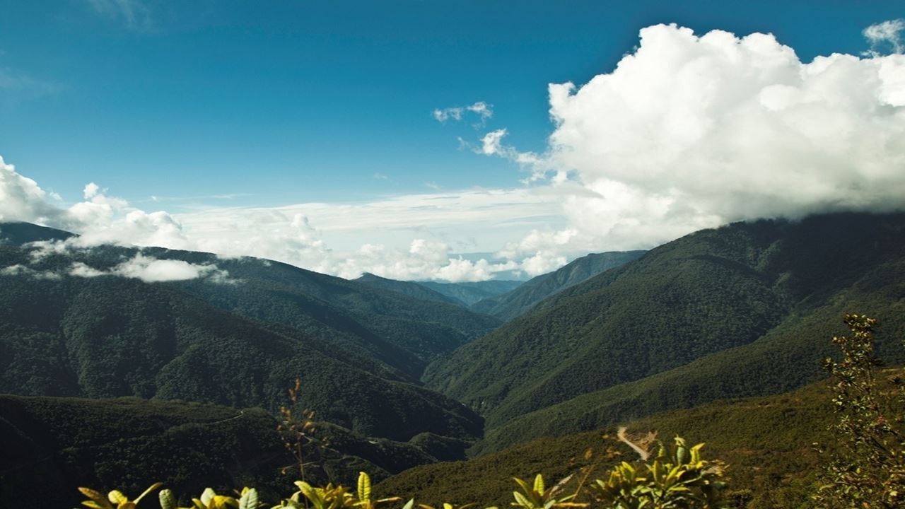 Viaje A La Selva Del Manu foto 11