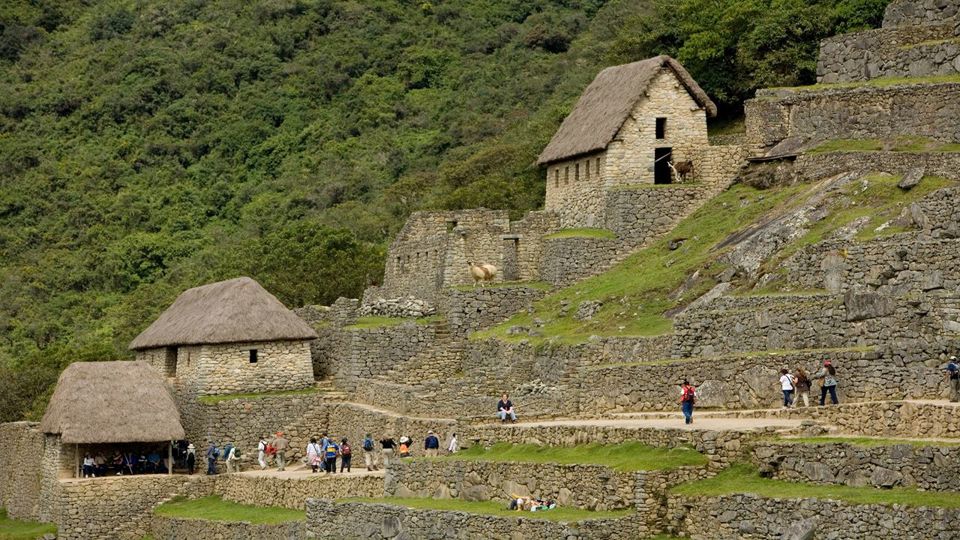 Train to Machu Picchu from Poroy foto 6